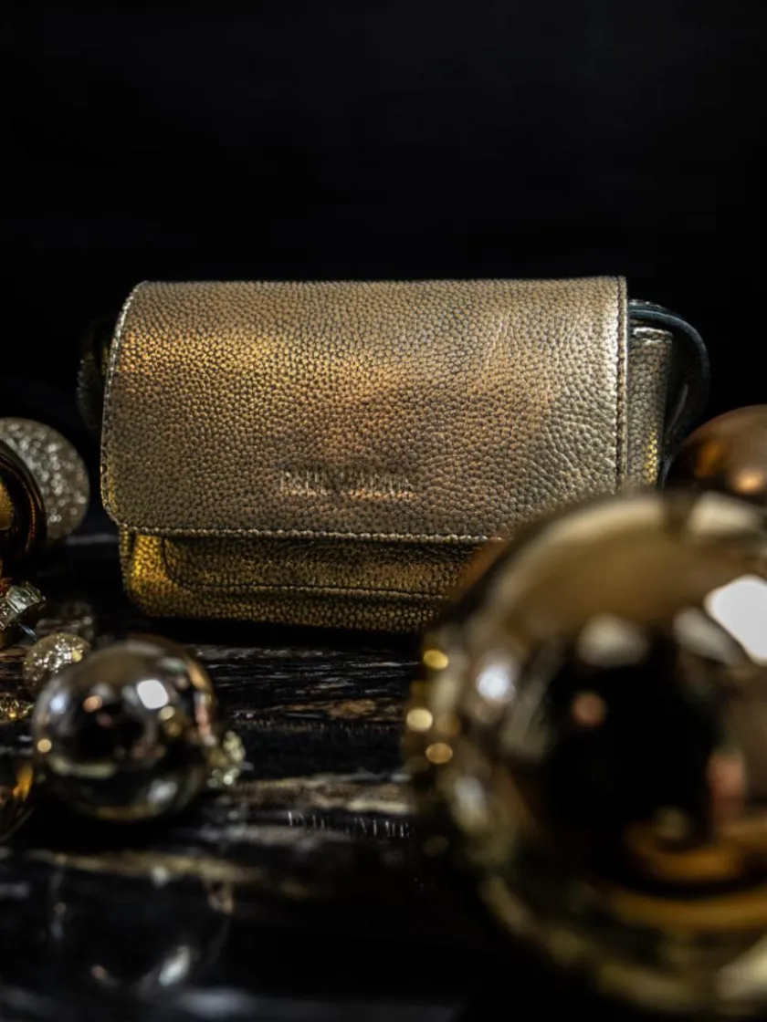 PAUL MARIUS Mini Sacs|Diane XS Granite - Noir / Doré